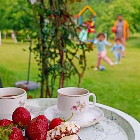 Zelena Dolina-green Valley * Travnik