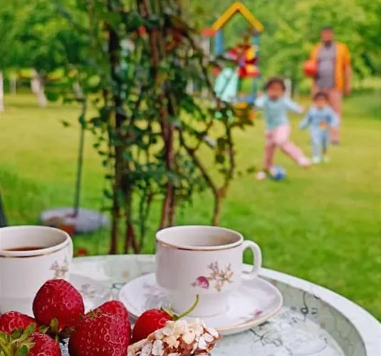 Zelena Dolina-green Valley * Travnik